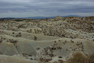 natural environment