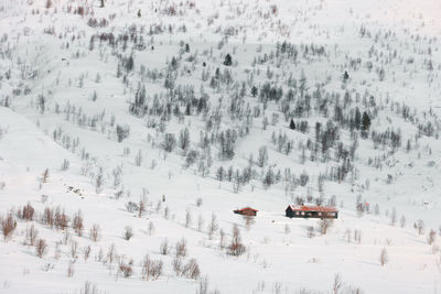 People skiing on snow covered field