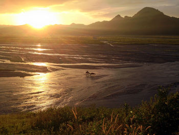 View of sea at sunset