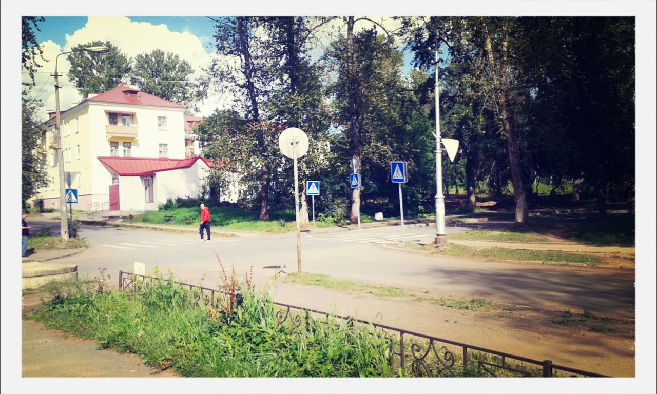 transfer print, tree, walking, auto post production filter, full length, rear view, grass, men, lifestyles, building exterior, street, the way forward, leisure activity, road, footpath, person, transportation, street light