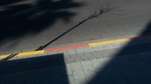 Close-up of yellow shadow