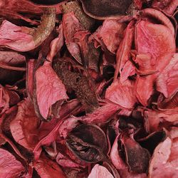 Full frame shot of dried petals