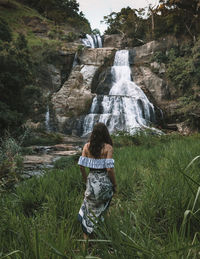 Rear view of man standing by waterfall