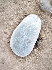 Close-up of stone on beach