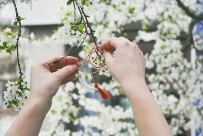 Close-up of hand holding flower
