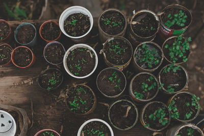 Full frame shot of multi colored drinking straws