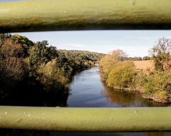 Scenic view of river amidst trees against sky