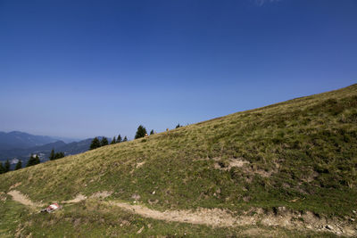 Scenic view of field against clear blue sky