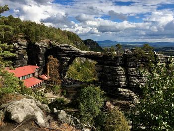 Trees and plants growing on mountain against sky