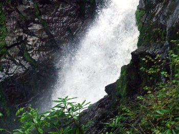 Low angle view of waterfall in forest