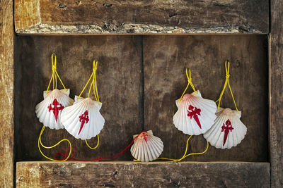 Close-up of umbrellas hanging against wall