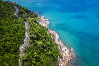 High angle view of sea and trees