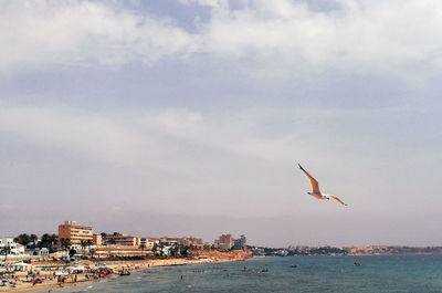 Seagull flying over sea against sky