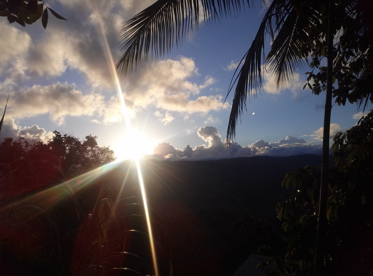 sun, sunbeam, sky, sunlight, lens flare, cloud - sky, tree, tranquil scene, tranquility, scenics, beauty in nature, nature, sunset, silhouette, cloud, landscape, transportation, idyllic, bright, sunny