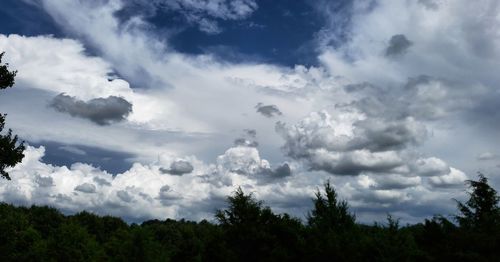 Low angle view of trees against dramatic sky