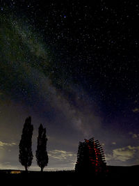 Low angle view of silhouette trees against sky at night