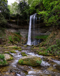 Scenic view of waterfall in forest