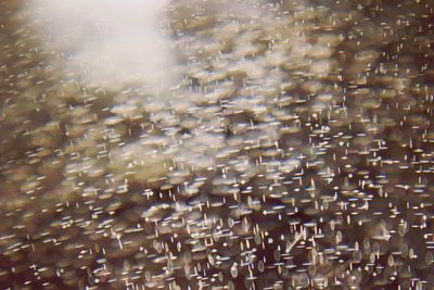 Full frame shot of water