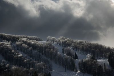 Panoramic view of agricultural field against sky