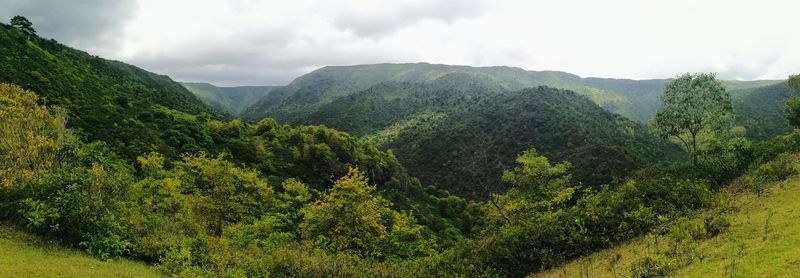 Panoramic view of trees and mountains against sky