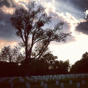 Bare trees against cloudy sky