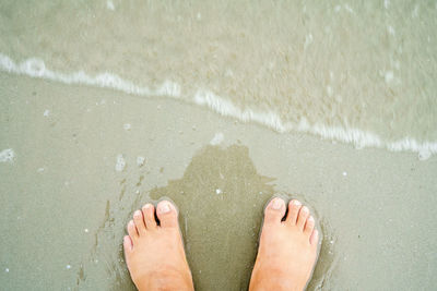 Low section of person standing on beach