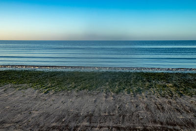 Scenic view of sea against clear sky