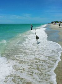 People at beach against sky