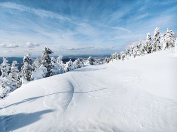 Scenic view of snow covered land against sky