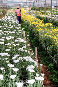 Rear view of woman walking on snow covered plants