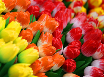 Background of colorful tulips on sale in florist shop