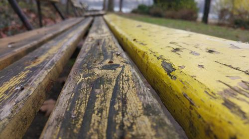 Close-up of bench