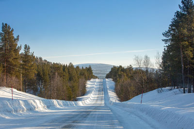 Road amidst trees against sky during winter