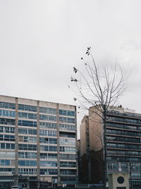 Low angle view of buildings against sky