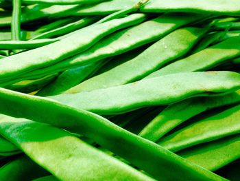 Full frame shot of green leaf