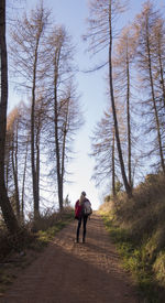 Rear view of man walking on road amidst trees