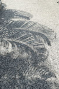 Full frame shot of sand