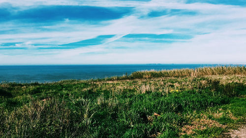 Scenic view of sea against sky