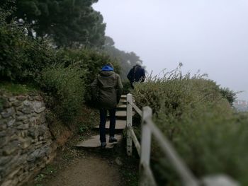 Rear view of men walking on steps amidst plants during foggy weather