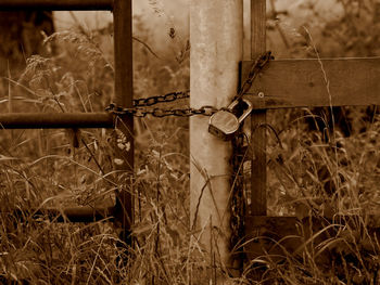 Close-up of rusty pipe on field