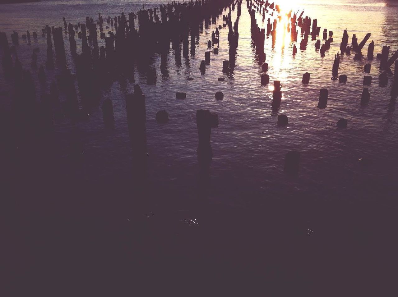 water, reflection, in a row, waterfront, lake, sea, tranquility, nature, high angle view, outdoors, rippled, no people, standing water, tranquil scene, wooden post, beach, beauty in nature, sunset, sunlight, silhouette