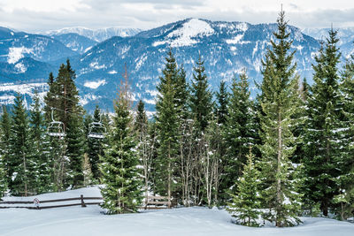 Trees on snow covered field against mountains