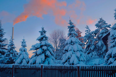 A winter scene of snow-covered trees behind a fence, a chimney in the background is emitting smoke.