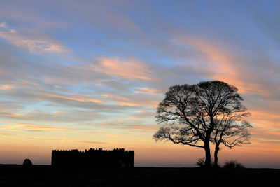 Silhouette bare tree against sky during sunset