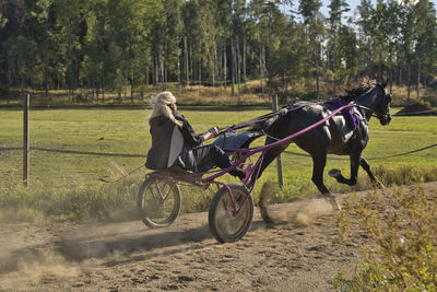 Horse standing on field