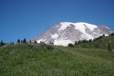 Scenic view of snowcapped mountains against clear blue sky