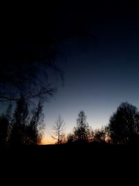 Silhouette trees on field against sky at night