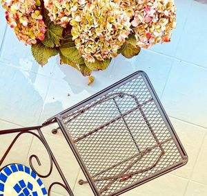 High angle view of flowering plants by swimming pool