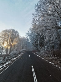 Road amidst trees against sky during winter