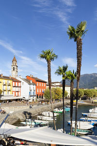 Palm trees and buildings in city against sky